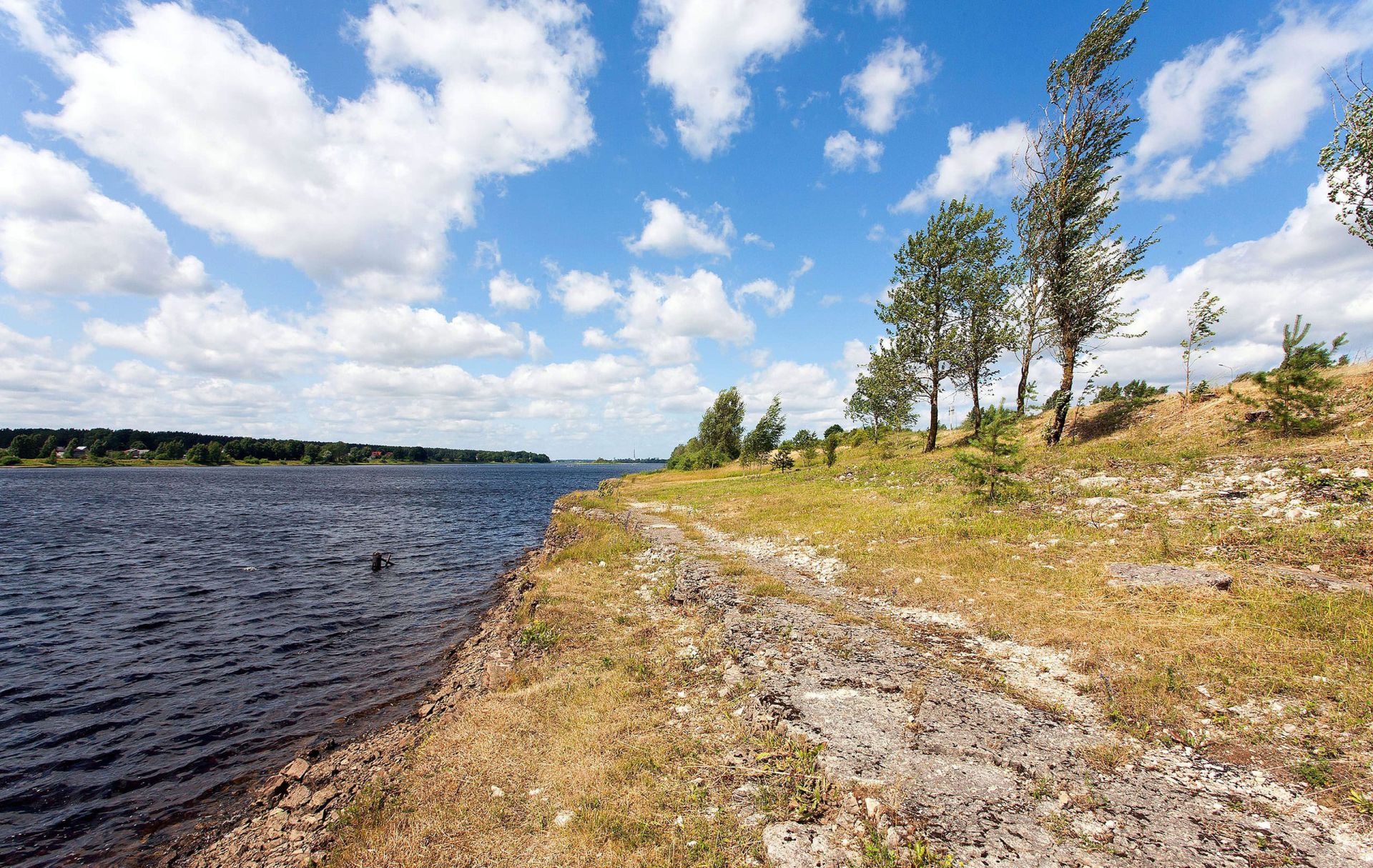 Zirņusala – pārdod privātmāju apbūves gabalus pie Daugavas